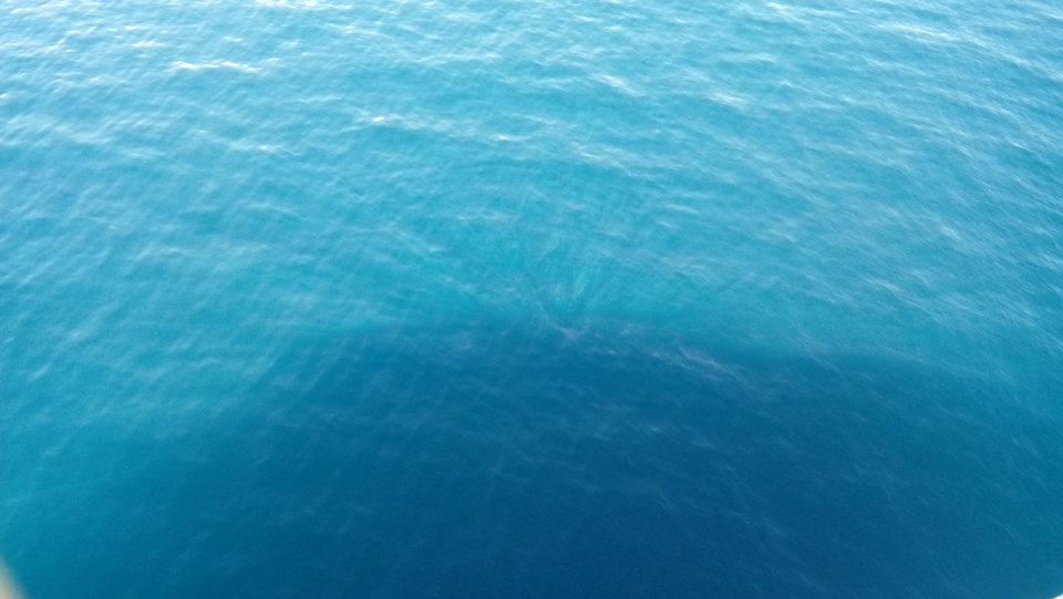 Żywy_błękit.jpg - MaciekBoribos