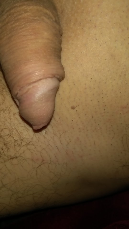 IMG_20190216_053525.jpg - ognikck