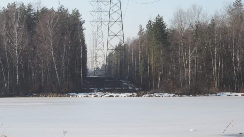 DSCN3574.JPG - 270272