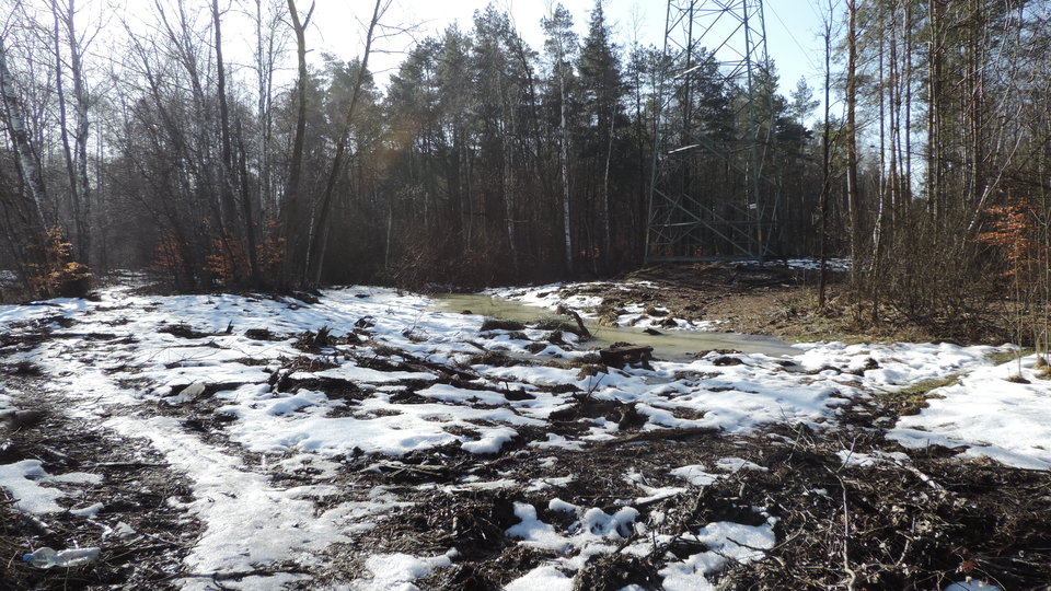 DSCN3592.JPG - 270272