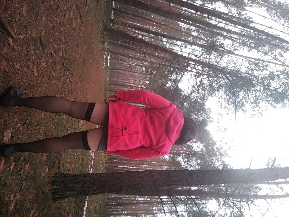 20190216_115645.jpg - ninatrans