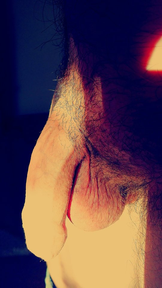 IMG_20190216_152943.jpg - Parahhvucctyc