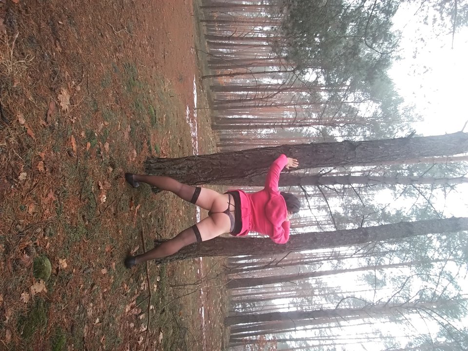 20190216_120003.jpg - ninatrans