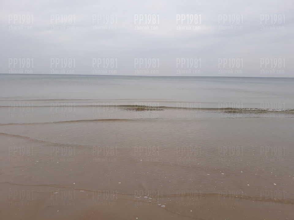 20190209_105705.jpg - pp1981