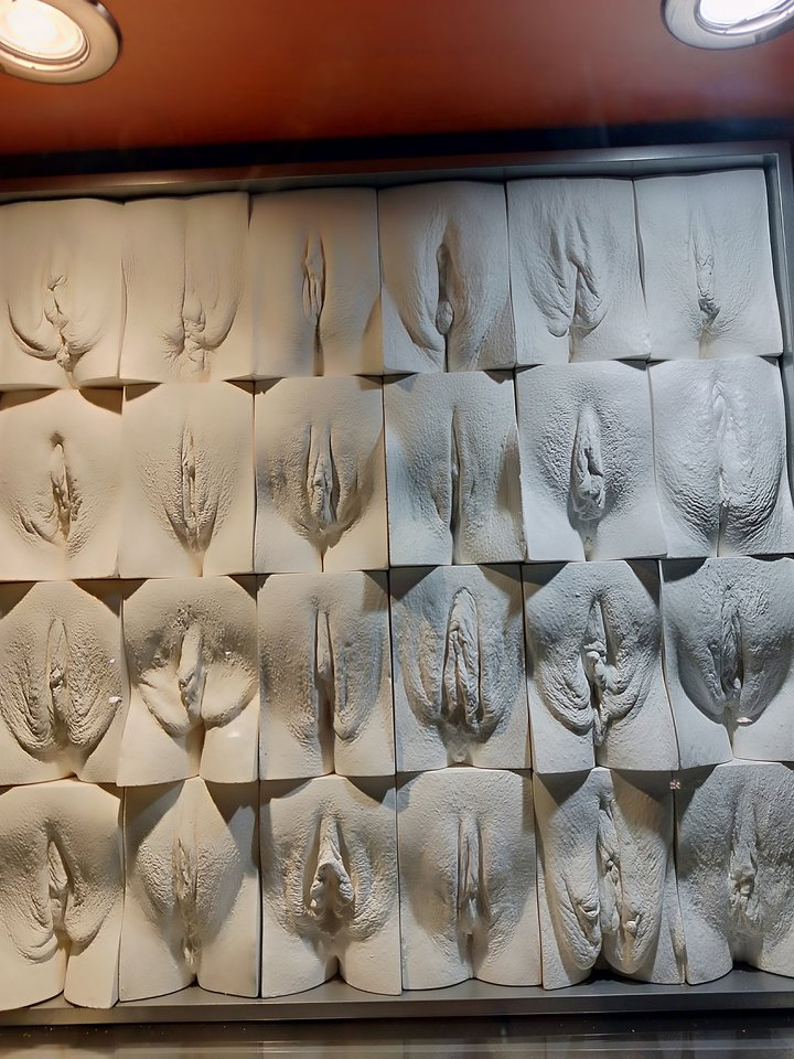 IMG20190216145236.jpg - sex8580