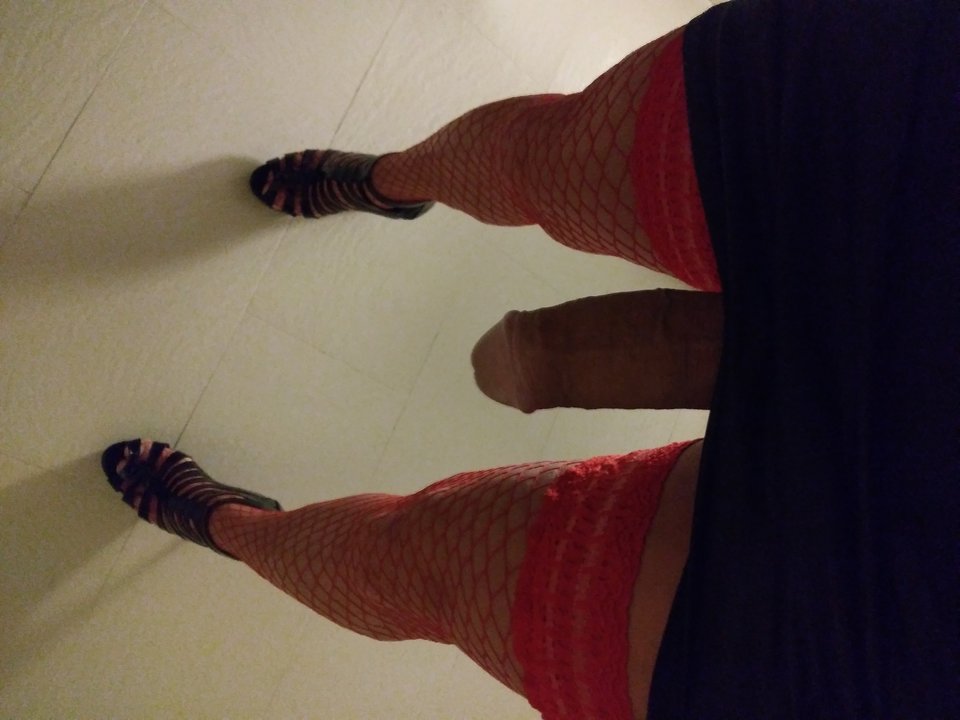 2019-02-17 06.00.22.jpg - MartinkaCross