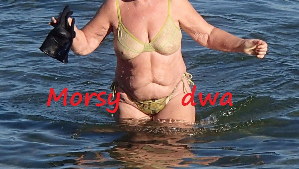 Babie Doły. - Morsy_dwa