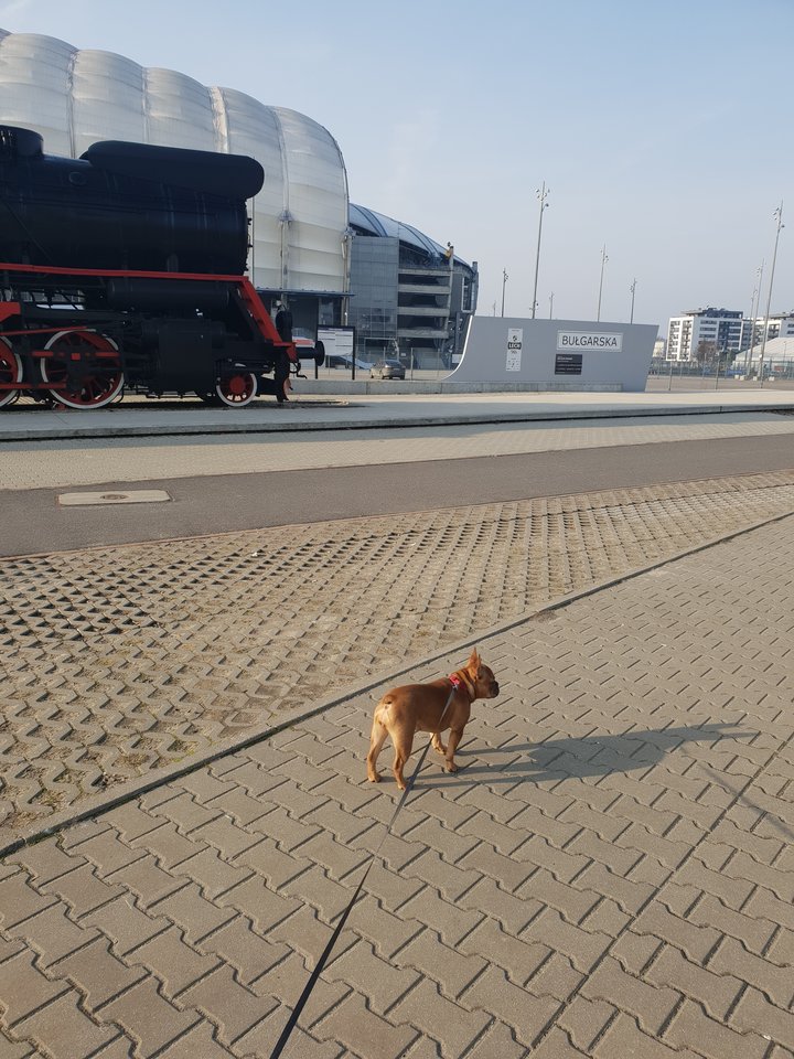 wiosennie...😍😍😍 - PuszysteCiasteczkoOnaaa