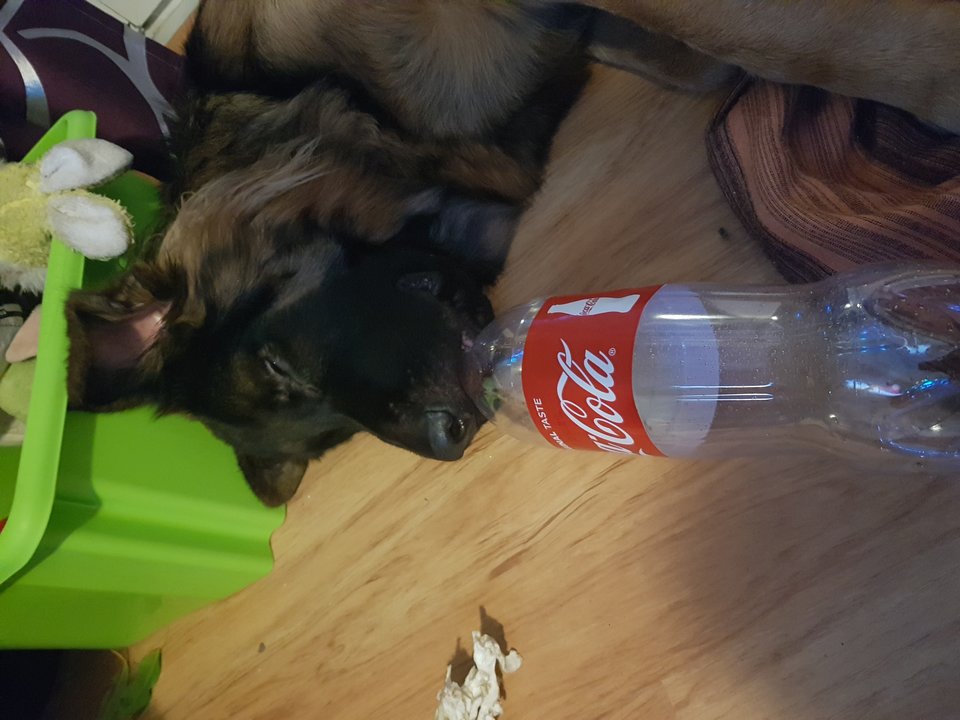 20190103_173152.jpg - ON75DLANIEJ