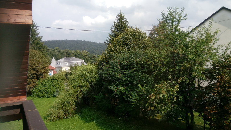 229.jpg - sda47