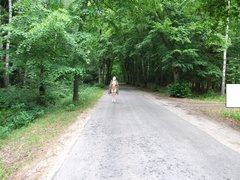 12008_062610064.JPG