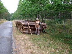 62008_062610067.JPG