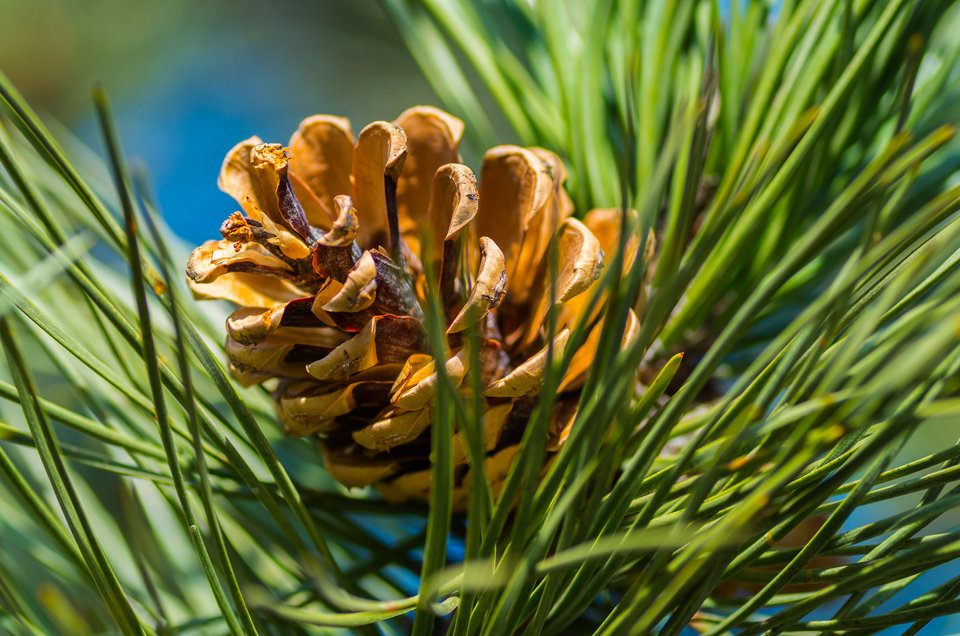 W igielniku ;) - mystic