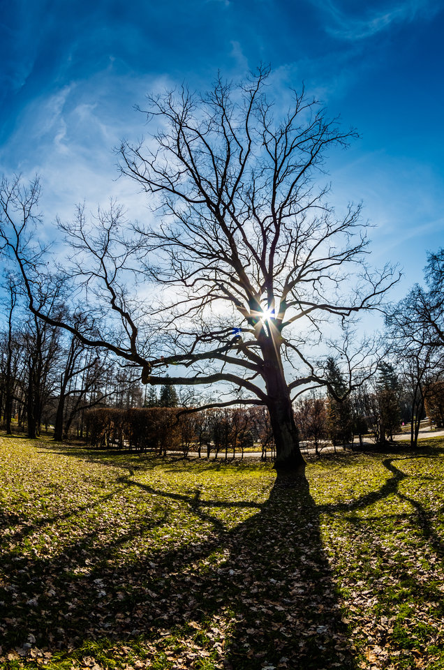 Niebo na tym zdjęciu robi robotę ;) - mystic