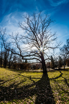 Niebo na tym zdjęciu robi robotę ;)