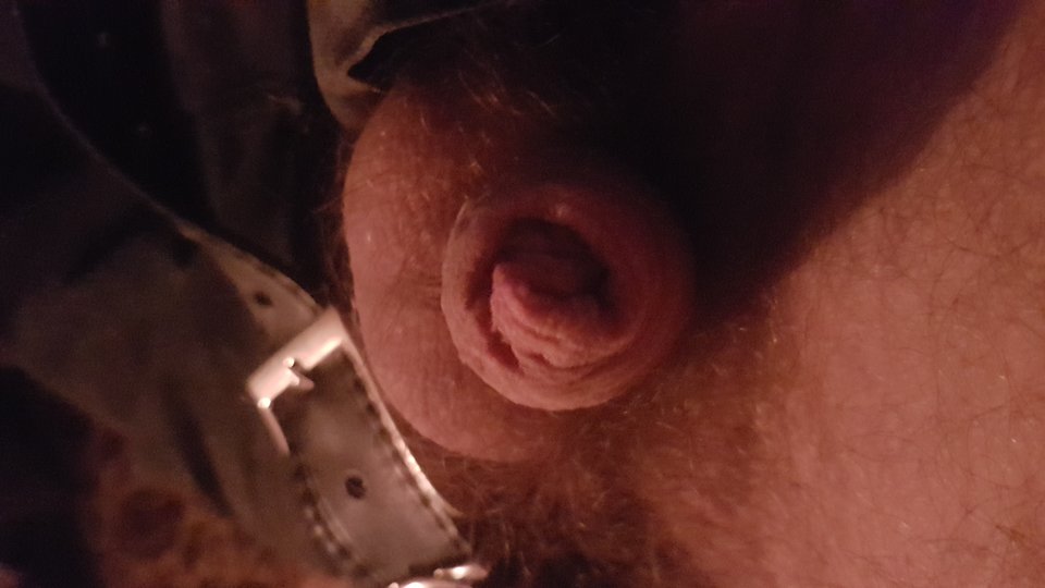 15505242496533123372168684403521.jpg - miro1011