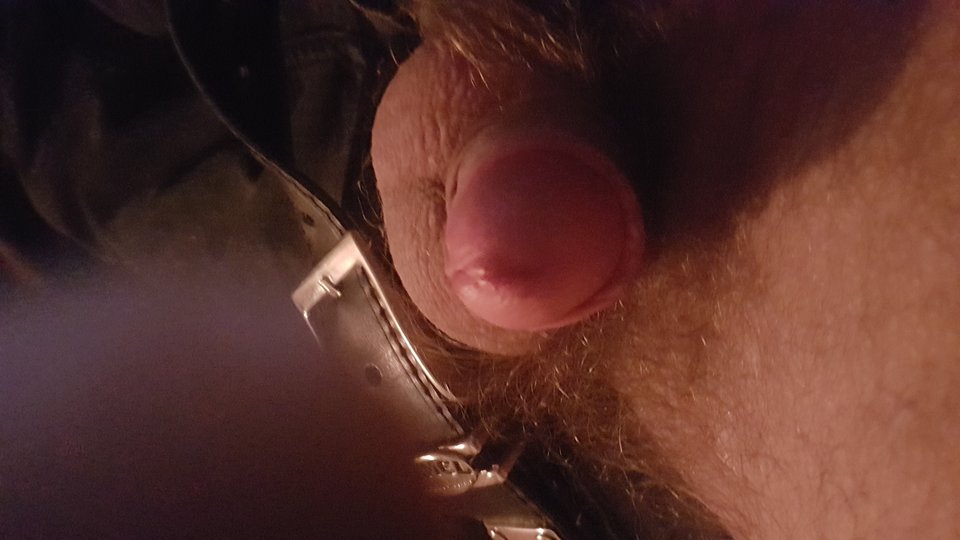 15505243283914753648705385032522.jpg - miro1011