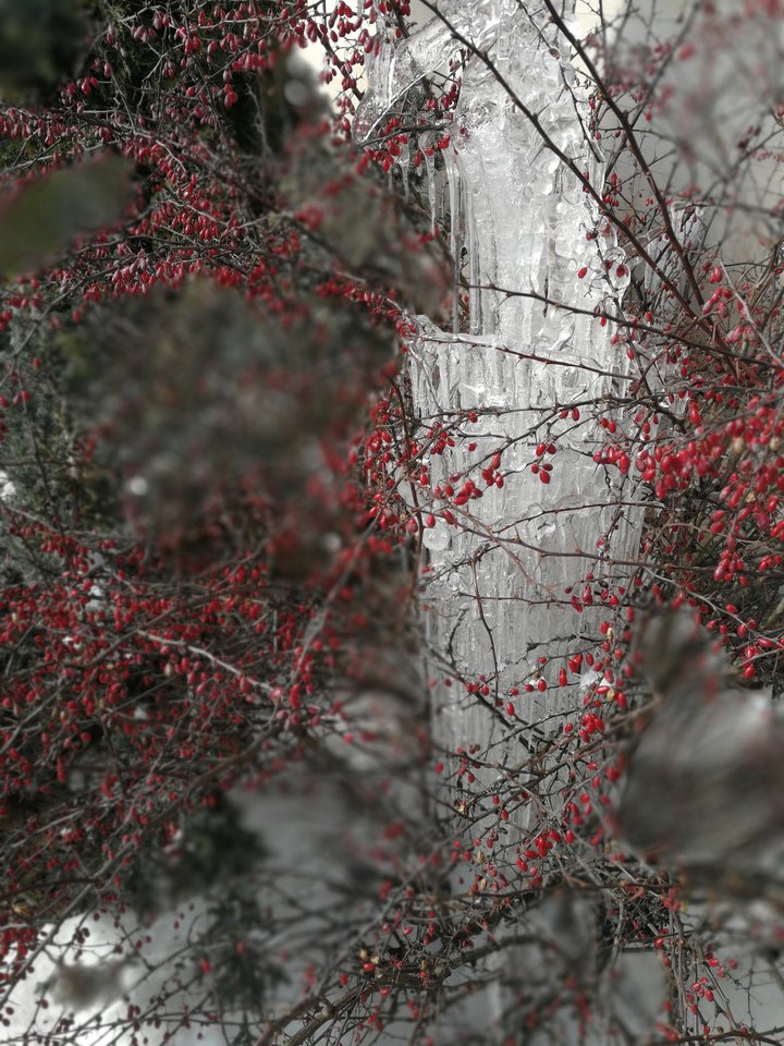 2018 III 19.jpg - MaciekBoribos