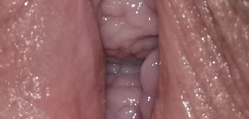 123503 - Nakreceni_40