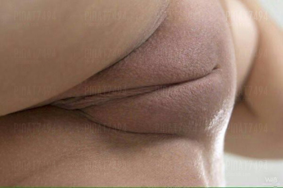 sketch-1550742440361.jpg - pinat7494