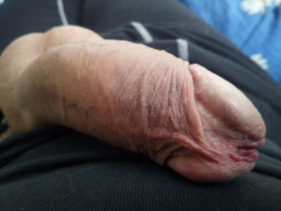 IMG_20190222_111603.jpg - Mrowka72