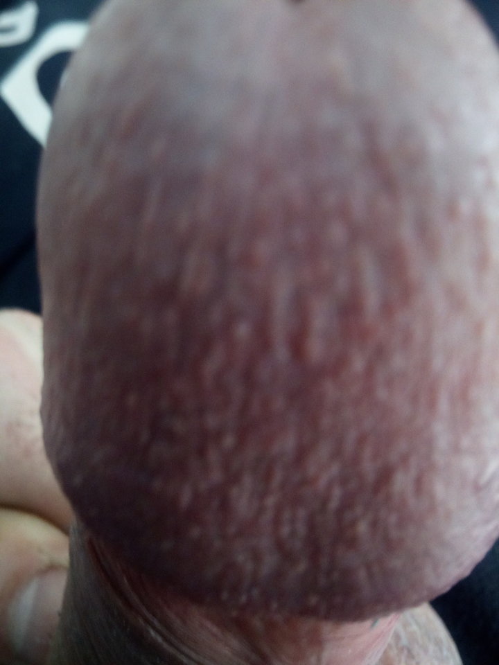 IMG_20190222_111656.jpg - Mrowka72