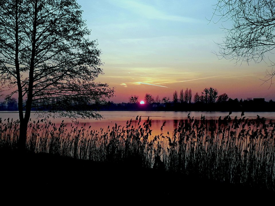 20190222_172920.jpg - Alien65