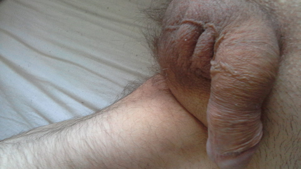 155100975589541634779.jpg - bulig12