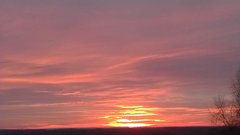 WP_20190223_104.jpg