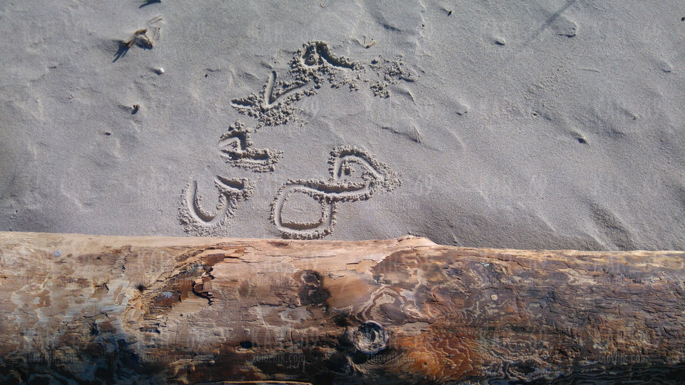 DSC_2207.JPG - kar_69