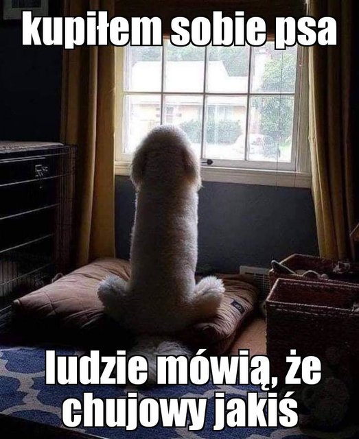 IMG-20190223-WA0002.jpg - 75andre