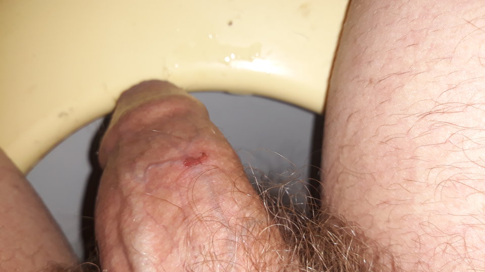 20190225_230649.jpg - RPGfan