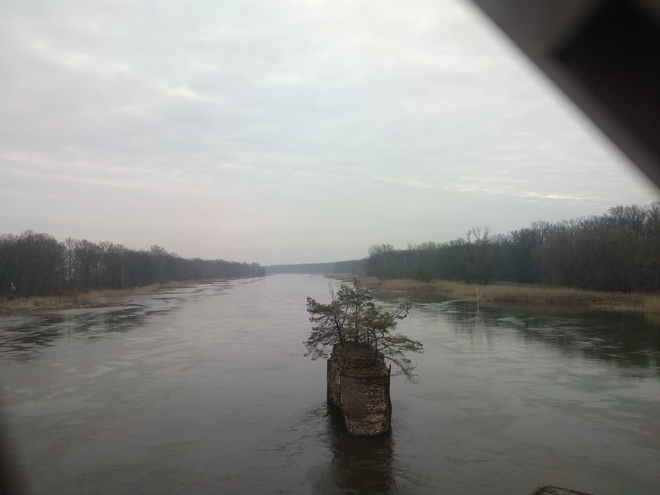 IMG_20190226_100355.jpg - Olek_51