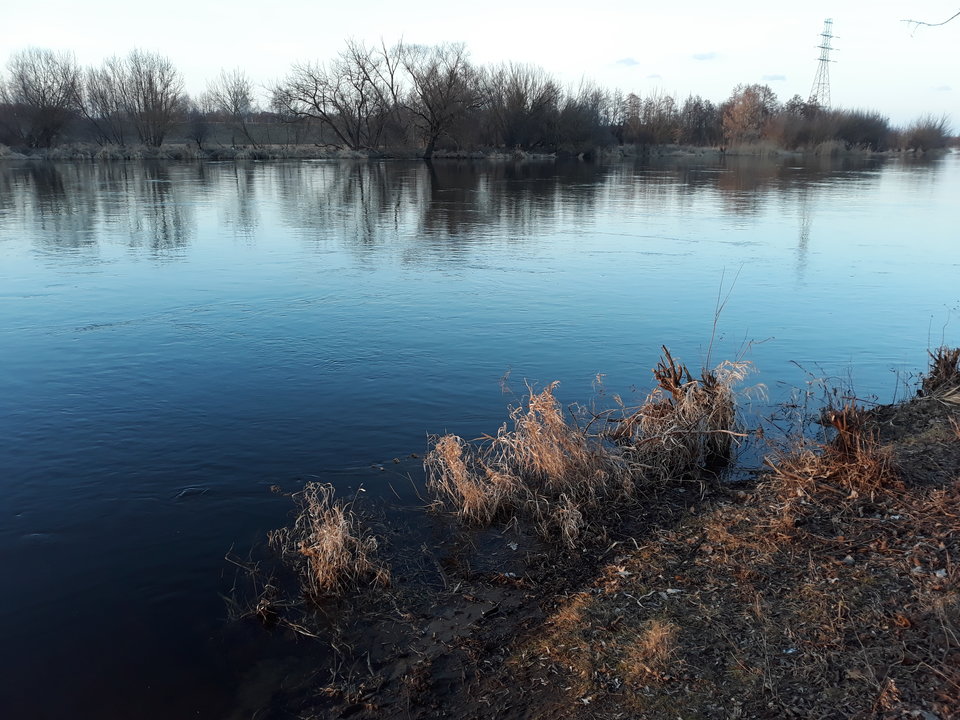 20190226_164855.jpg - norbi31