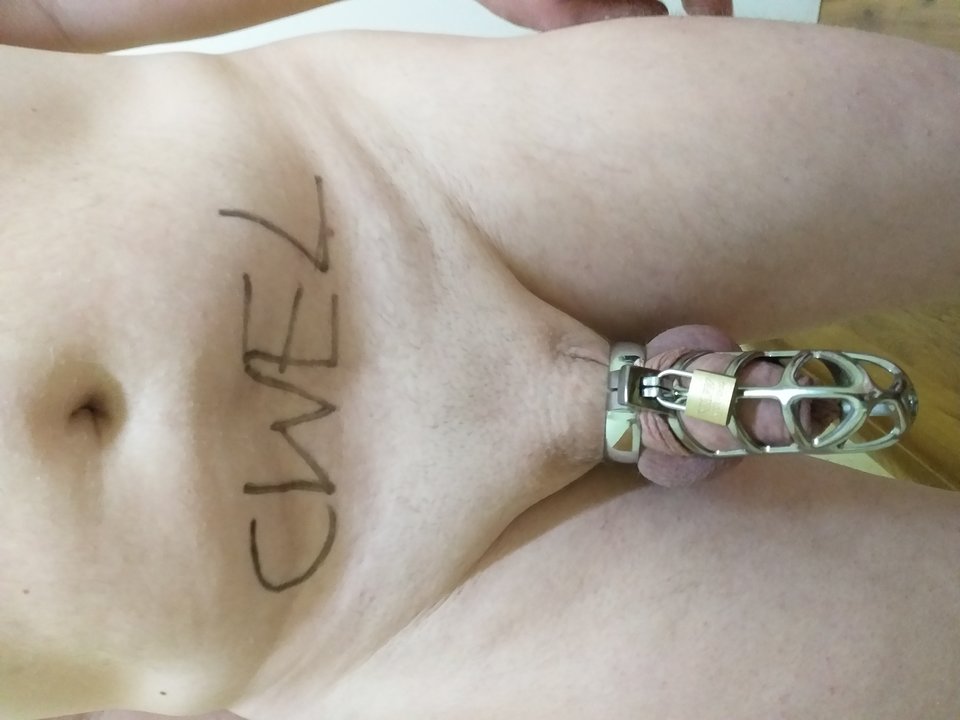 metalowe chastity.jpg - exit69