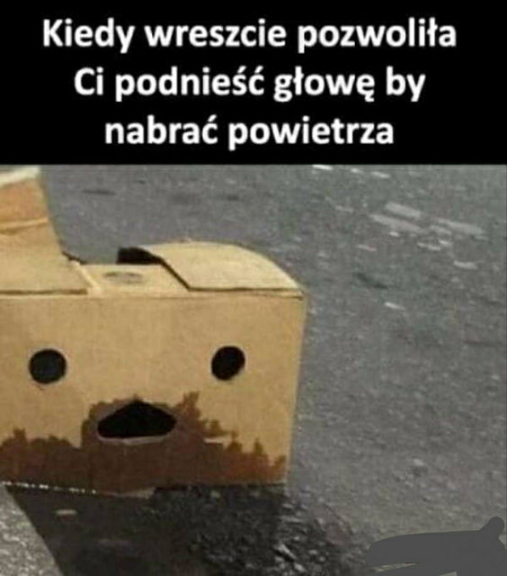 Święta prawda - PerwerSiki