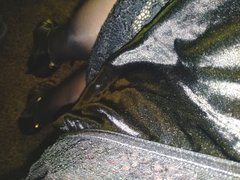 IMG_20190228_094221.jpg