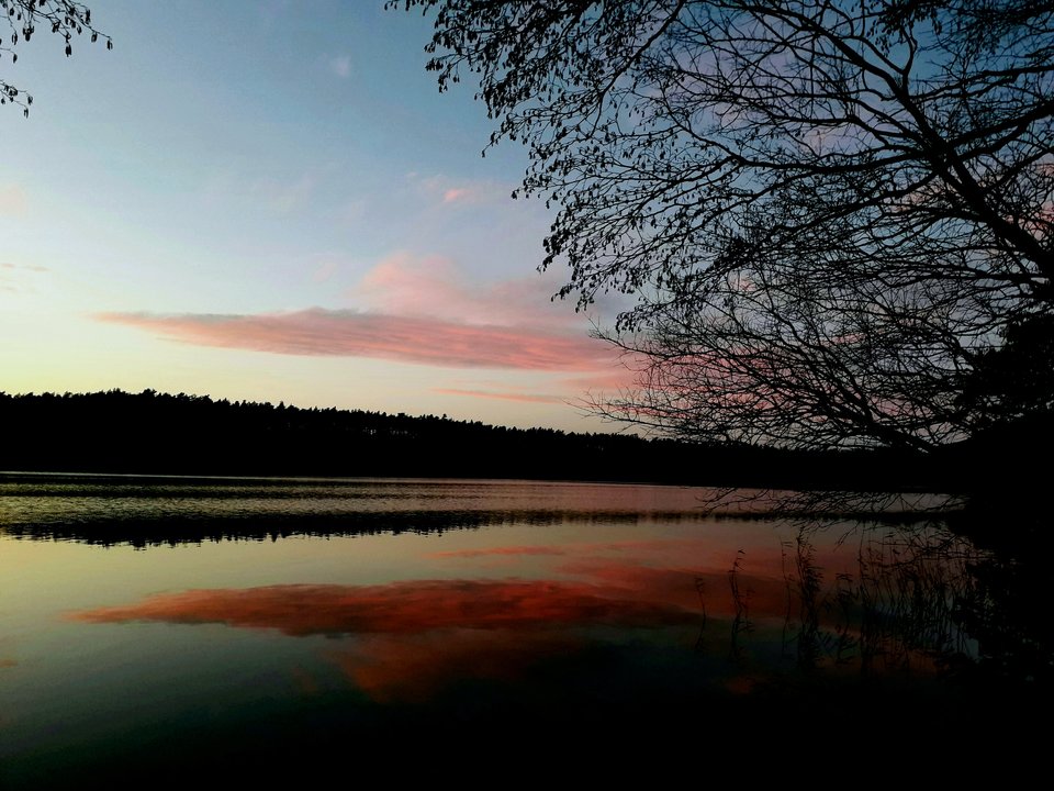 20190301_181721.jpg - Alien65