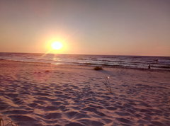 IMAG0364.jpg