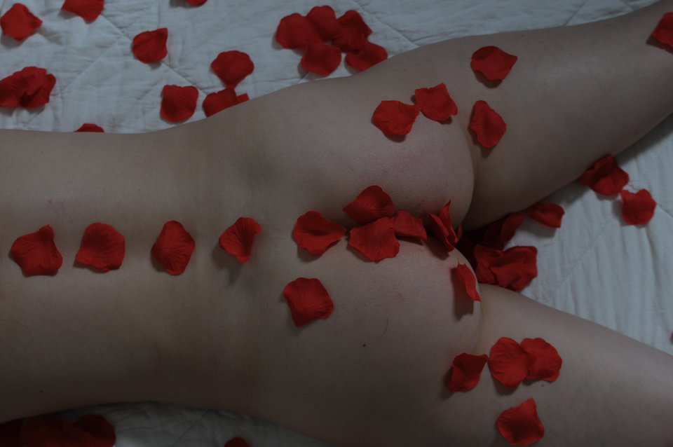 DSC_8463.JPG - FaniBeki