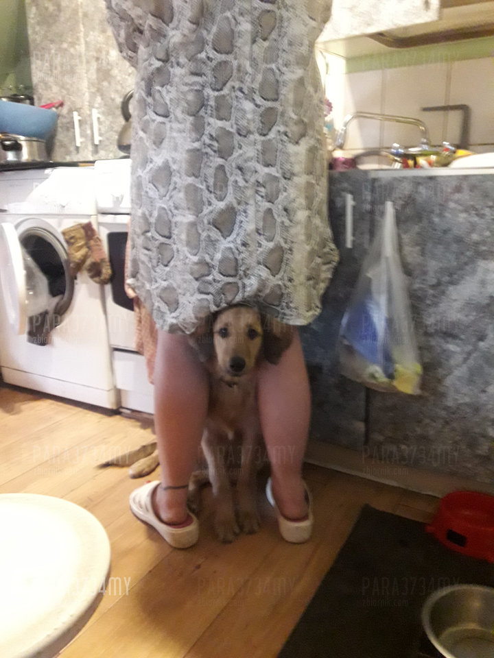 20190303_103953.jpg - PARA3734my