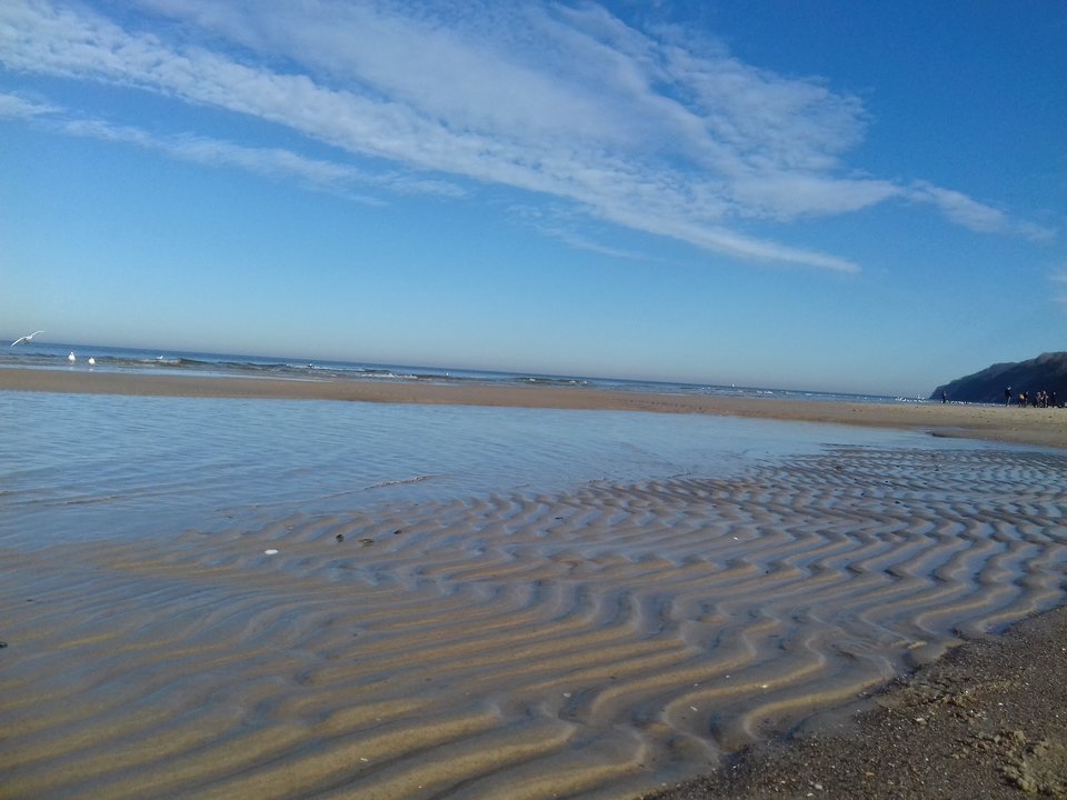 20190224_112340.jpg - torii99