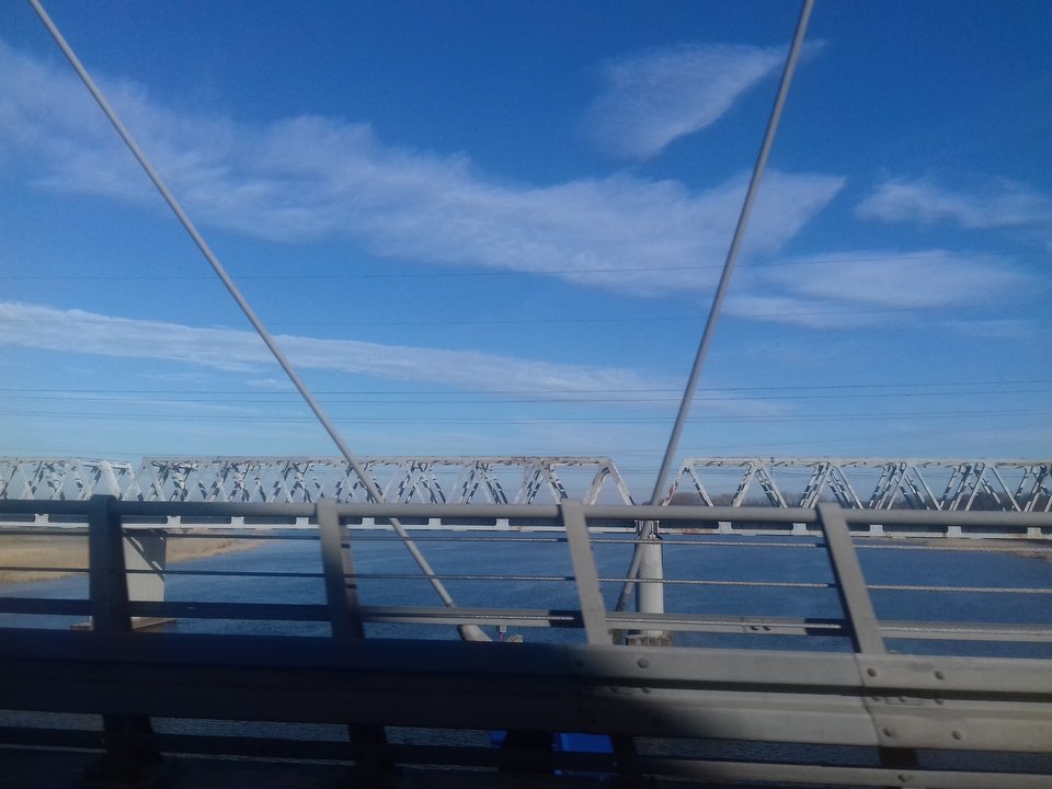 20190224_104329.jpg - torii99