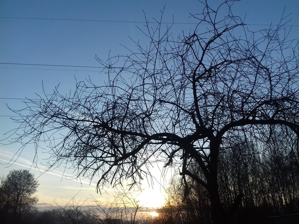 20190226_170948.jpg - torii99