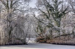 mrozie spadaj na drzewo!! i spadł...