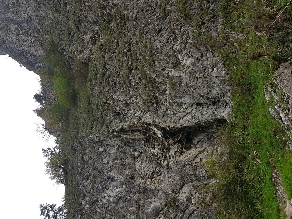 20180908_150135.jpg - realman1