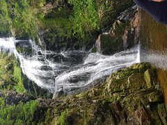 20180723_173953.jpg