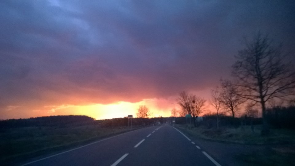 WP_20190304_020.jpg - Ratl