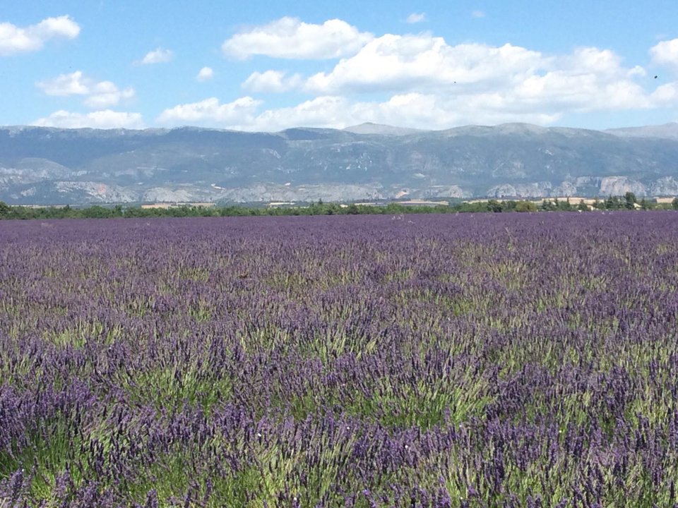 IMG_0101 (2).JPG - kjuik1972