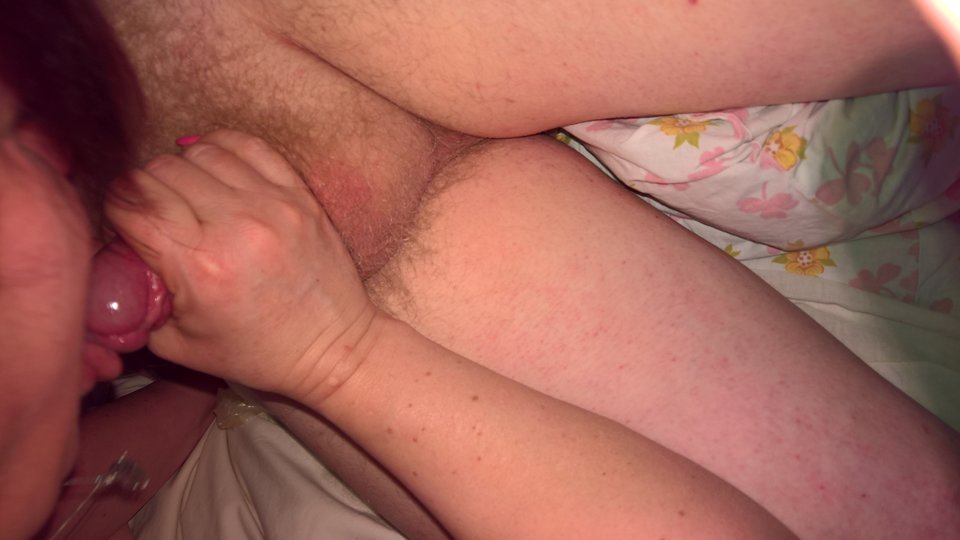 WP_20190303_02_57_10_Pro.jpg - PanSu